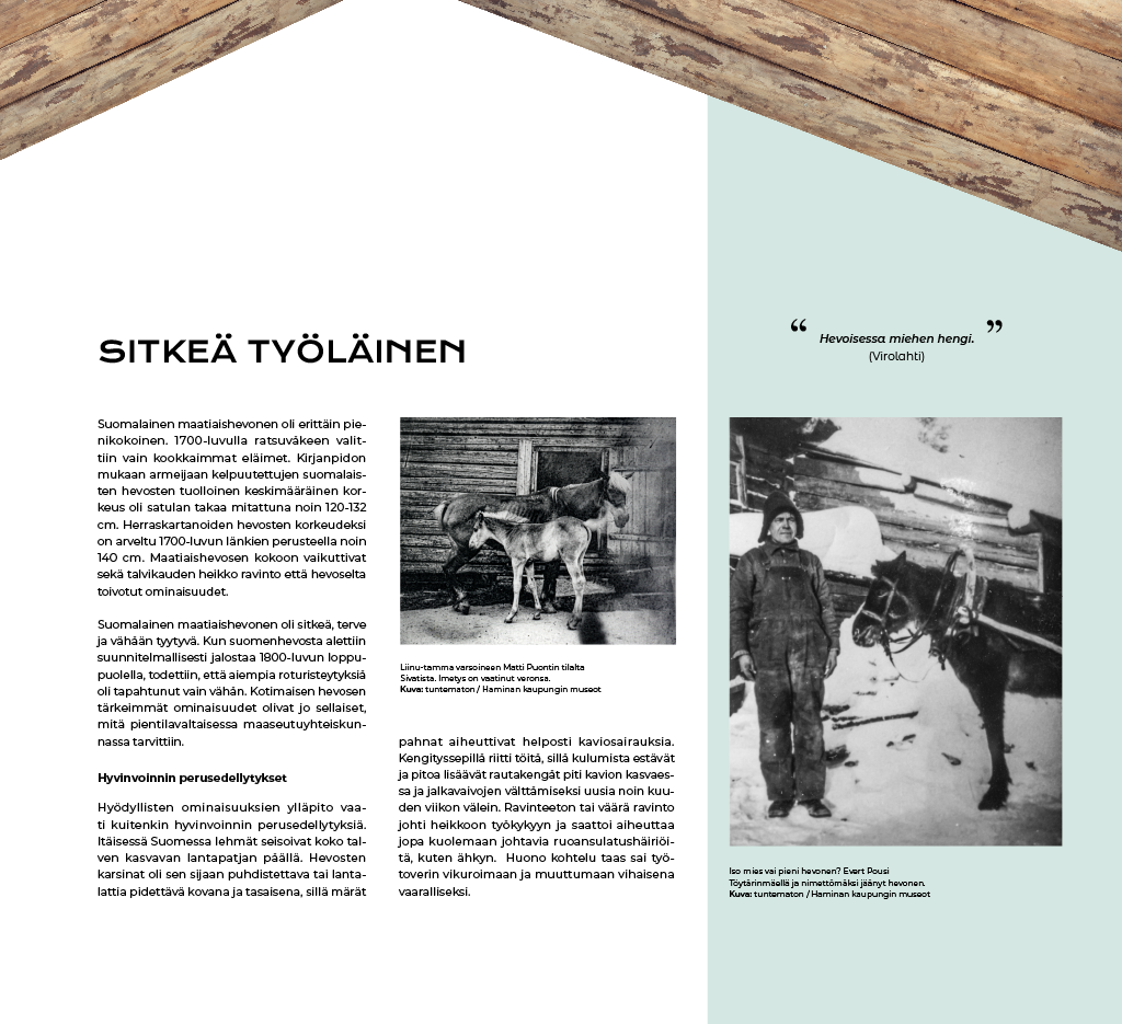 ruskealla_ruunalla_ruskeatruunat2