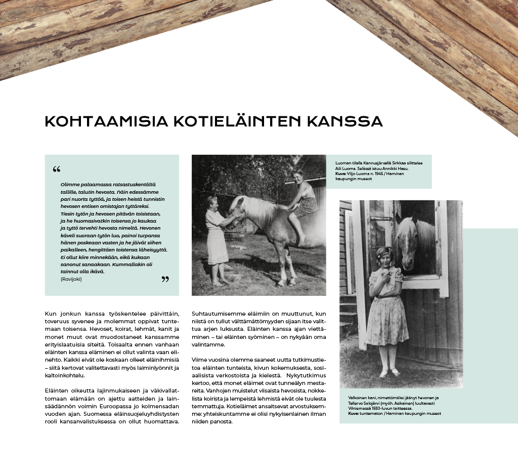 ruskealla_ruunalla_ruskeatruunat3