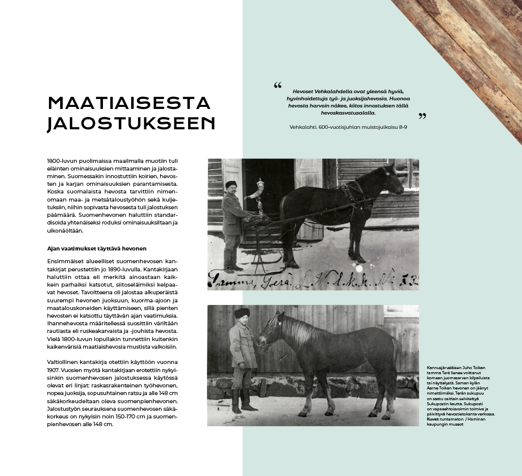 ruskealla_ruunalla_ruskeatruunat4