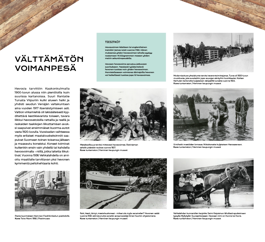 ruskealla_ruunalla_ruskeatruunat5