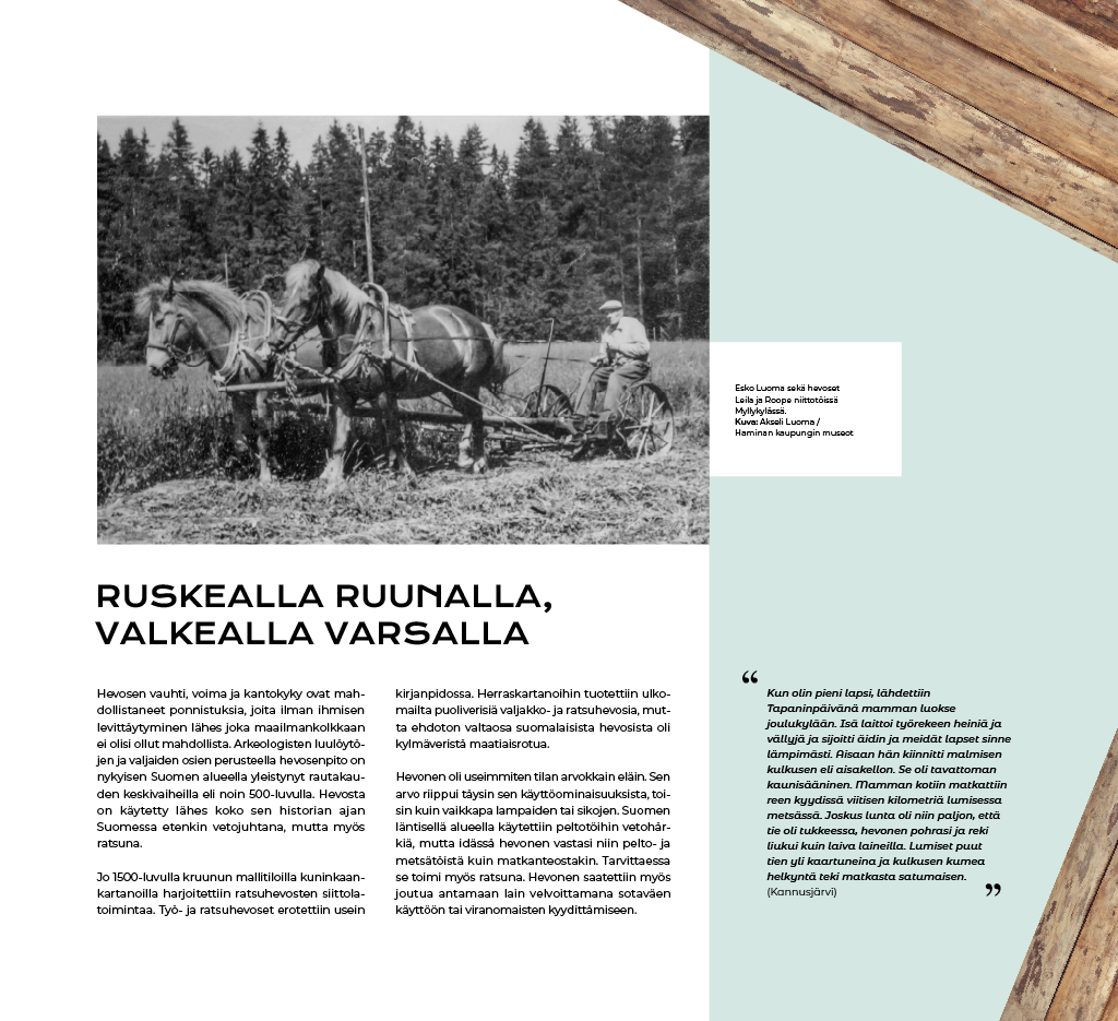 ruskealla_ruunalla_ruuna1